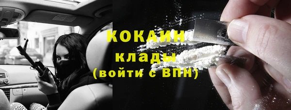 стафф Алзамай