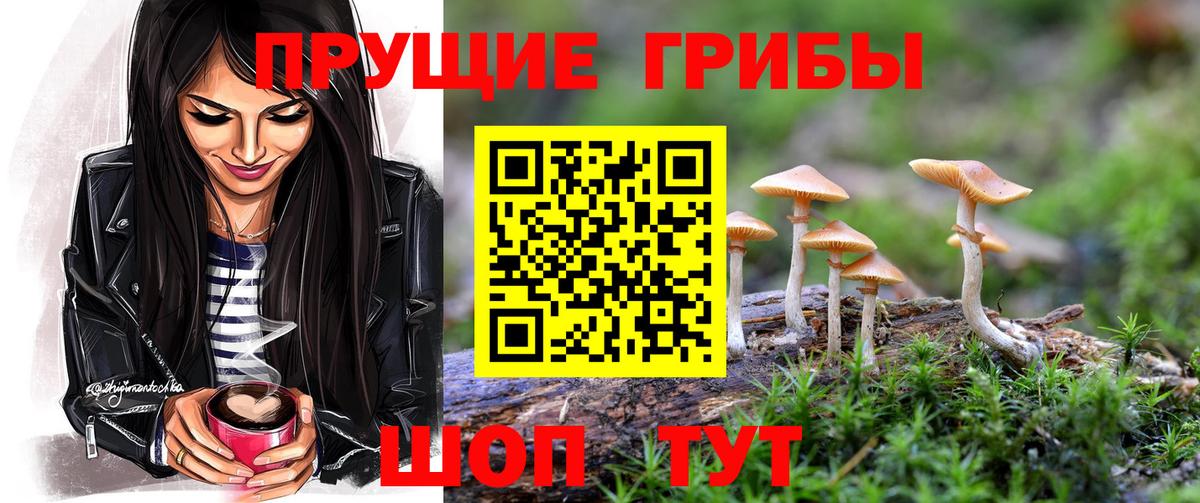 Псилоцибиновые грибы Psilocybine cubensis Петровск