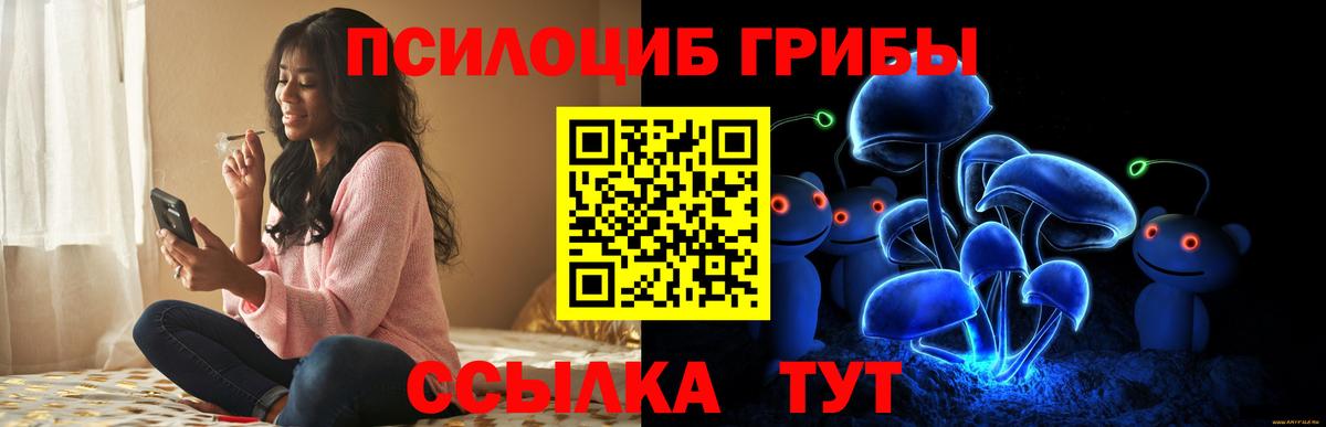 Петровск  наркота  Псилоцибиновые грибы Cubensis  Вход с VPN  Псилоцибиновые грибы GOLDEN TEACHER 